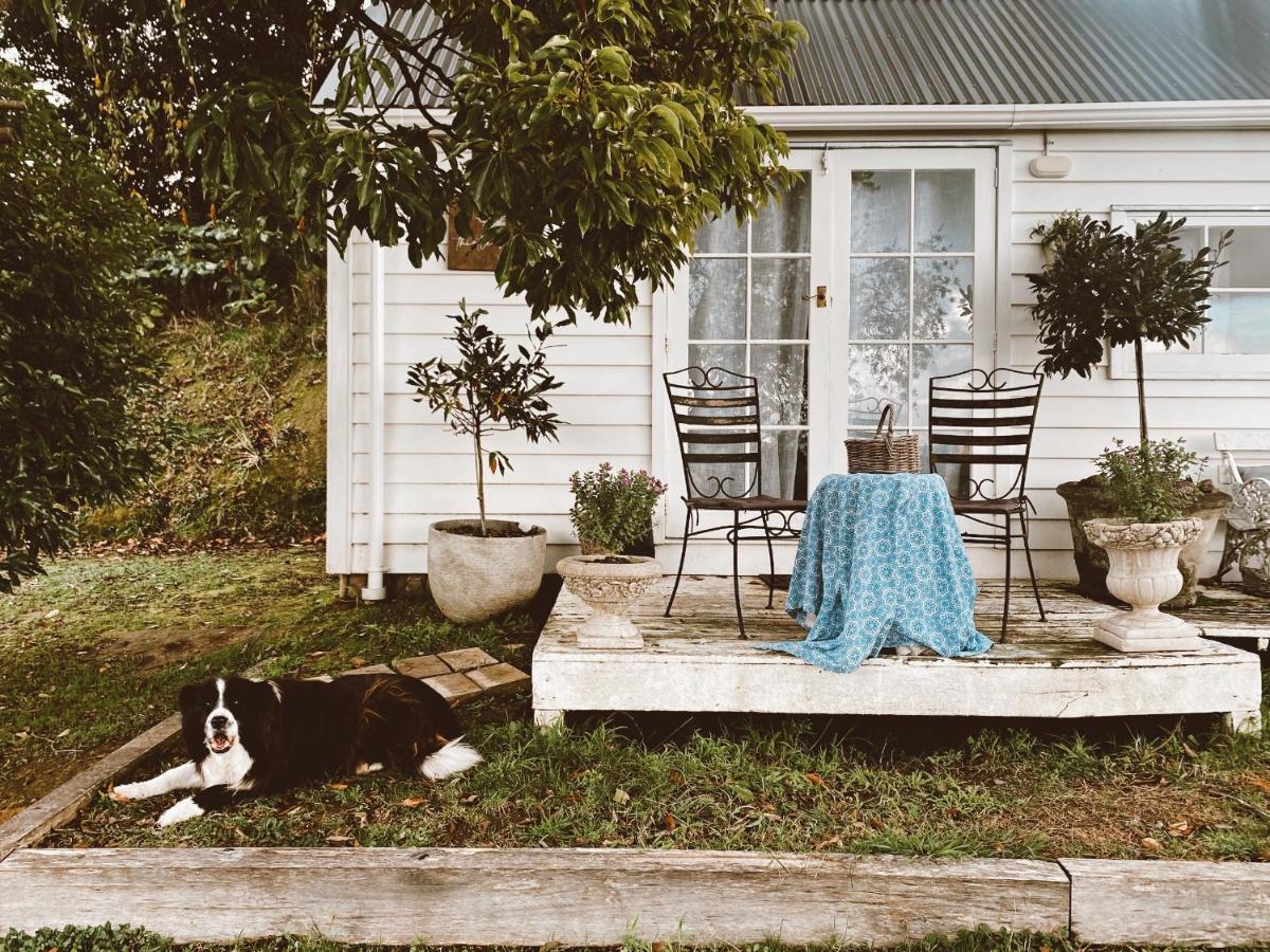 Thistle And Pine Cottage Farmstay Tauranga Dış mekan fotoğraf