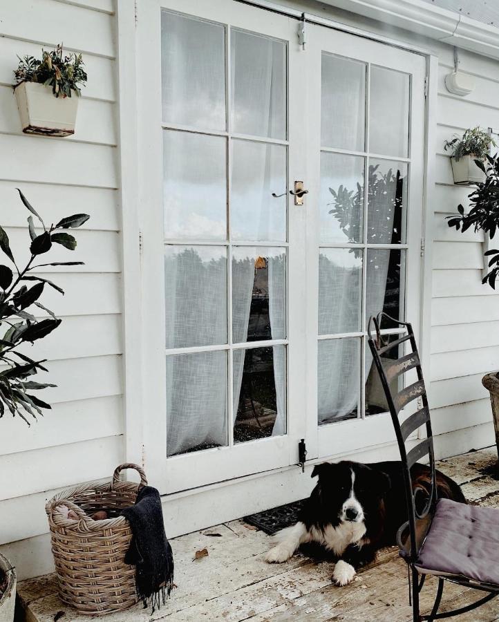 Thistle And Pine Cottage Farmstay Tauranga Dış mekan fotoğraf